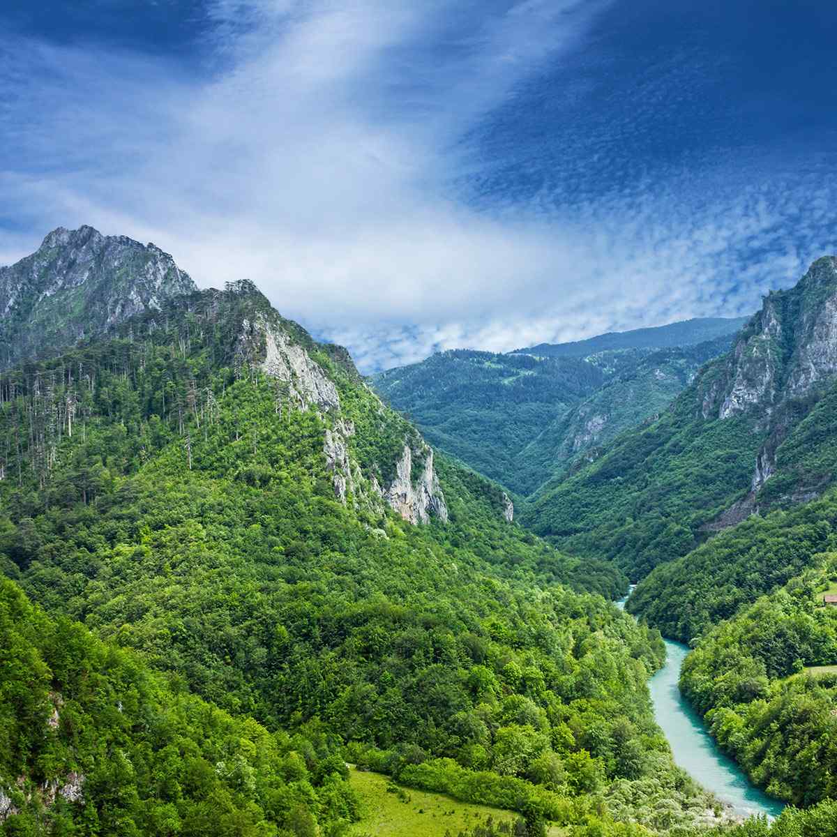 https://ilvillaggiodeipini.it/wp-content/uploads/2016/05/neighborhood-1.jpg